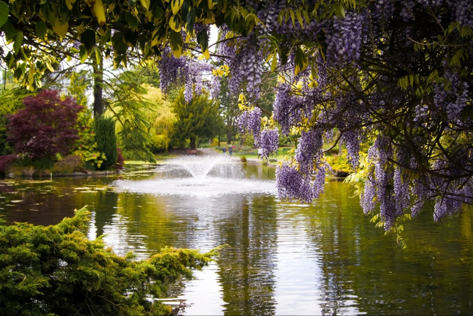 Gallery image 8: lee-tombling-photography