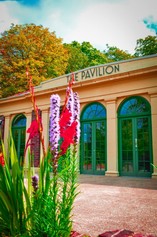 Gallery image 18: lee-tombling-photography