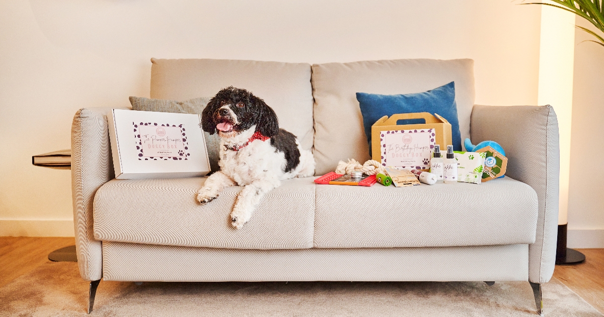 News INNSiDE by Meliá has revealed an inhouse dog sitting se...