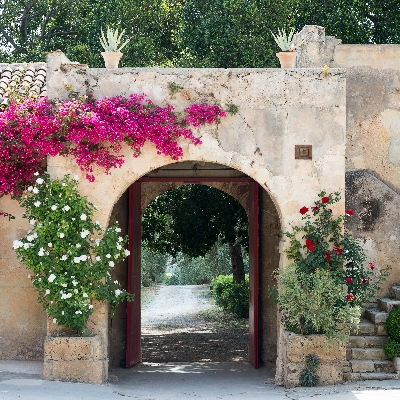 Tenuta Zisola in Sicily offers a range of wine tours