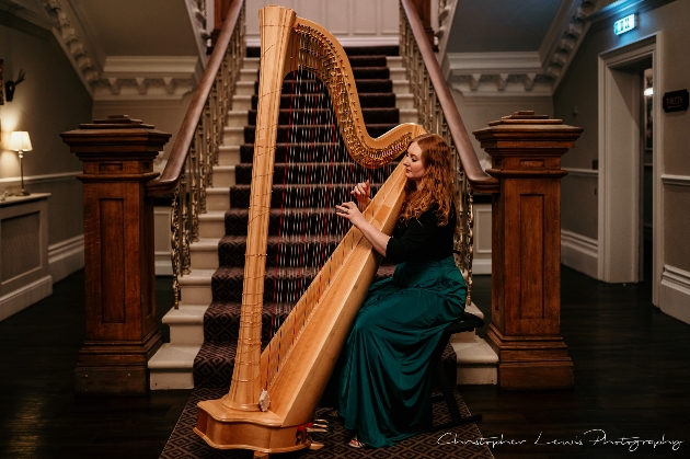 Harpist, Sarah Davies gives her top tips for booking a supplier online: Image 1