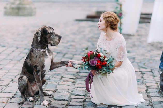 Top tips for incorporating your dog into your big day: Image 1