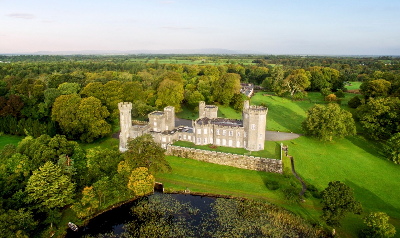 aerial view of castle surrounded by woodlands