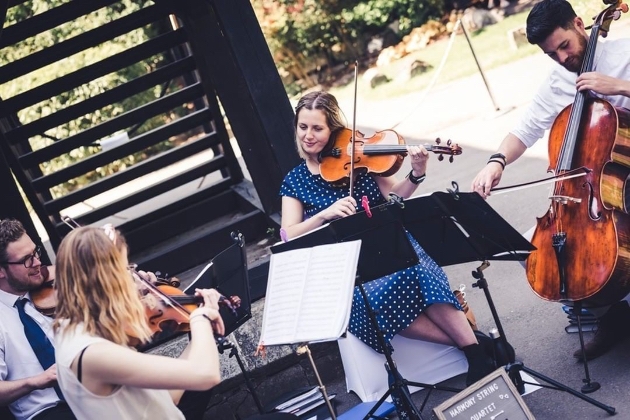 Harmony String Quartet performing