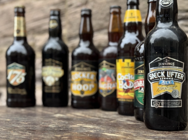 BEER BOTTLES LINED UP