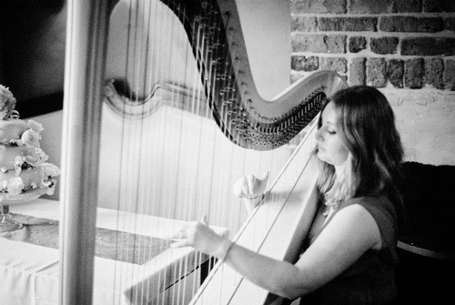 Sarah Davies Harpist: Main Image