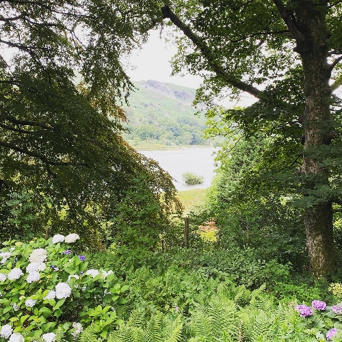 Image 4 from Rydal Mount
