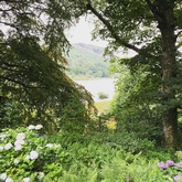 Thumbnail image 4 from Rydal Mount